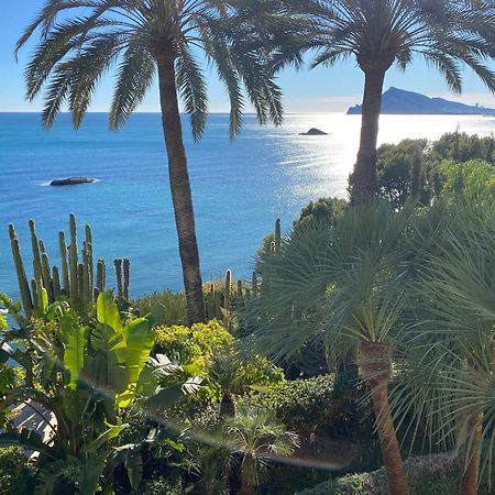 El Jardin Botanico Villa Luz Альтеа Экстерьер фото