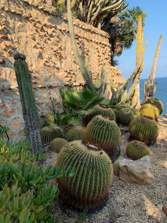 El Jardin Botanico Villa Luz Альтеа Экстерьер фото