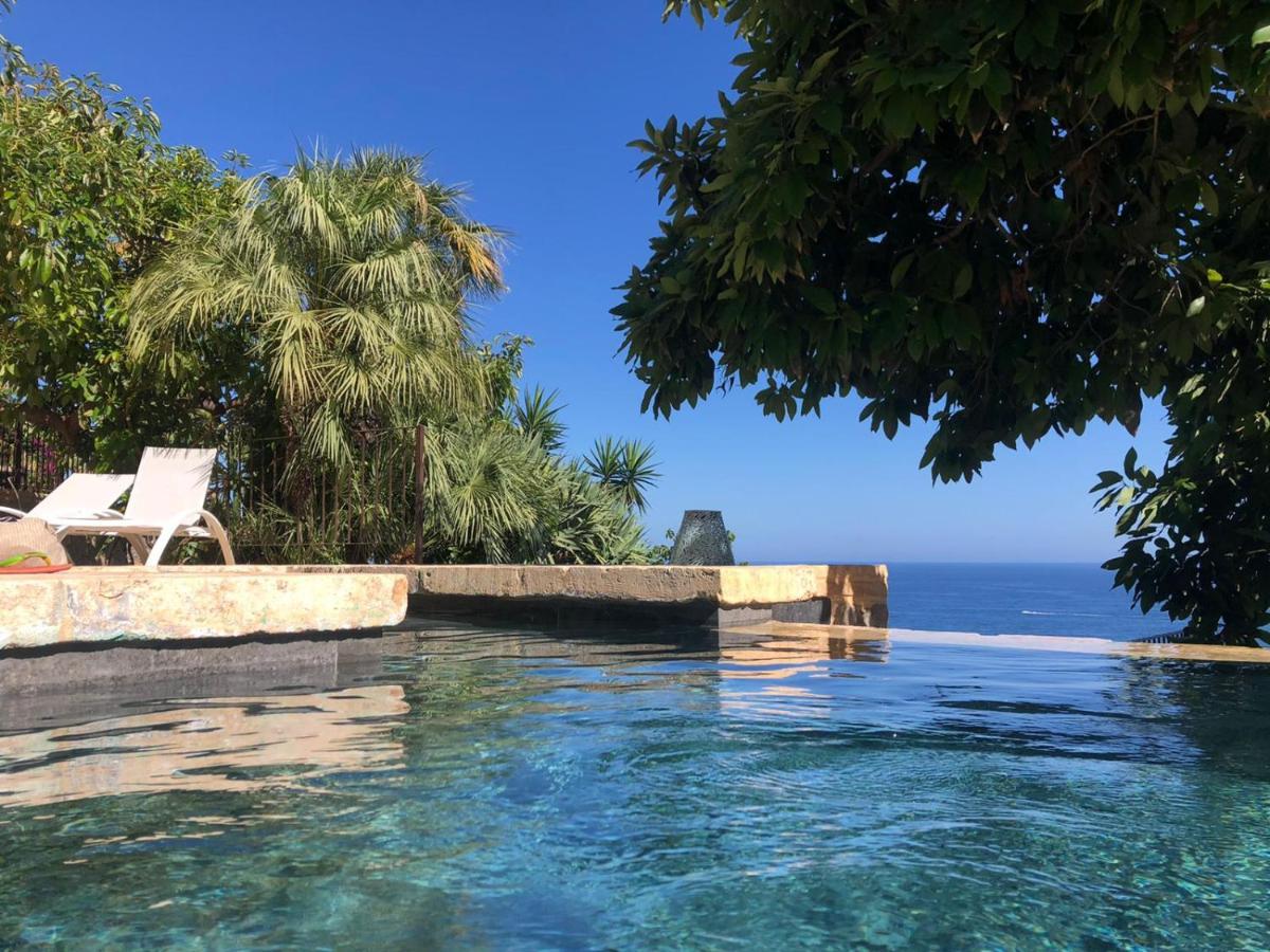 El Jardin Botanico Villa Luz Альтеа Экстерьер фото