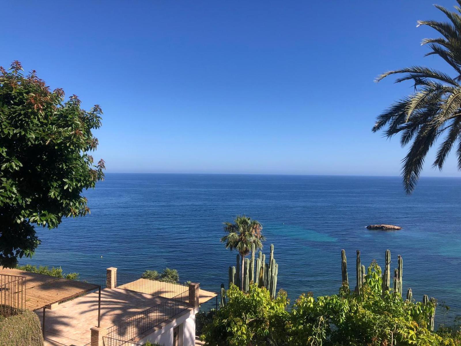 El Jardin Botanico Villa Luz Альтеа Экстерьер фото