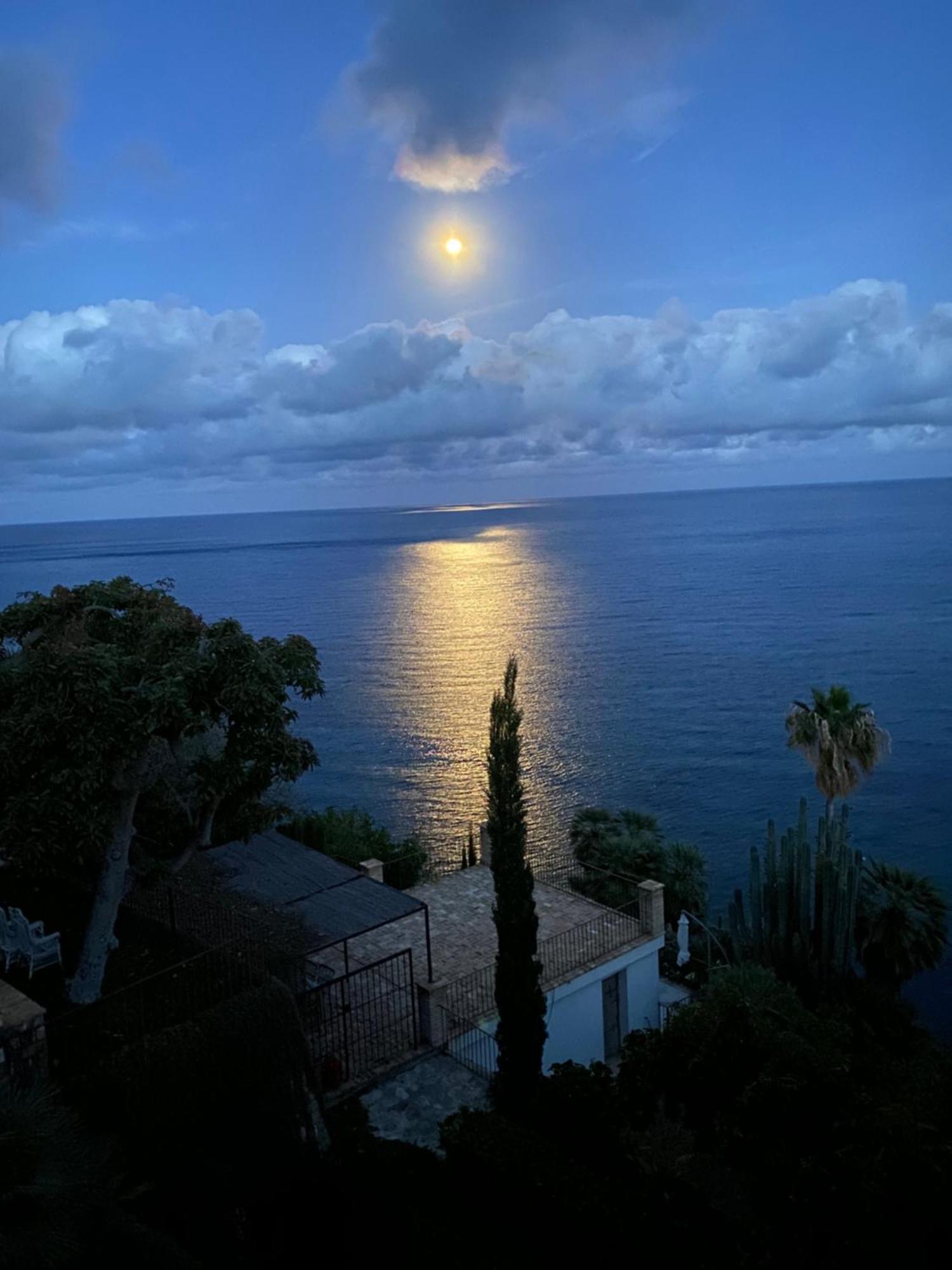 El Jardin Botanico Villa Luz Альтеа Экстерьер фото
